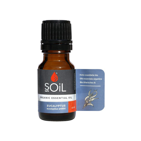 Soil Organic Eucalyptus Radiata Oil 10ml